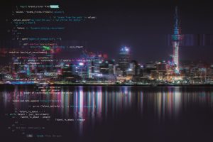 Top 10 tech roles in NZ for 2024