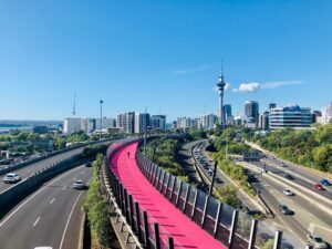 Cautious optimism across the Auckland market 2025