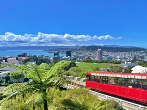 Wellington hiring shows confidence despite slowdown