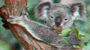 FY27 hiring market predictions: Where Australia’s talent demand is heading next