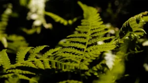 Top 10 contractor day rates in New Zealand in 2026