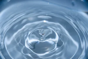 Wellington Water